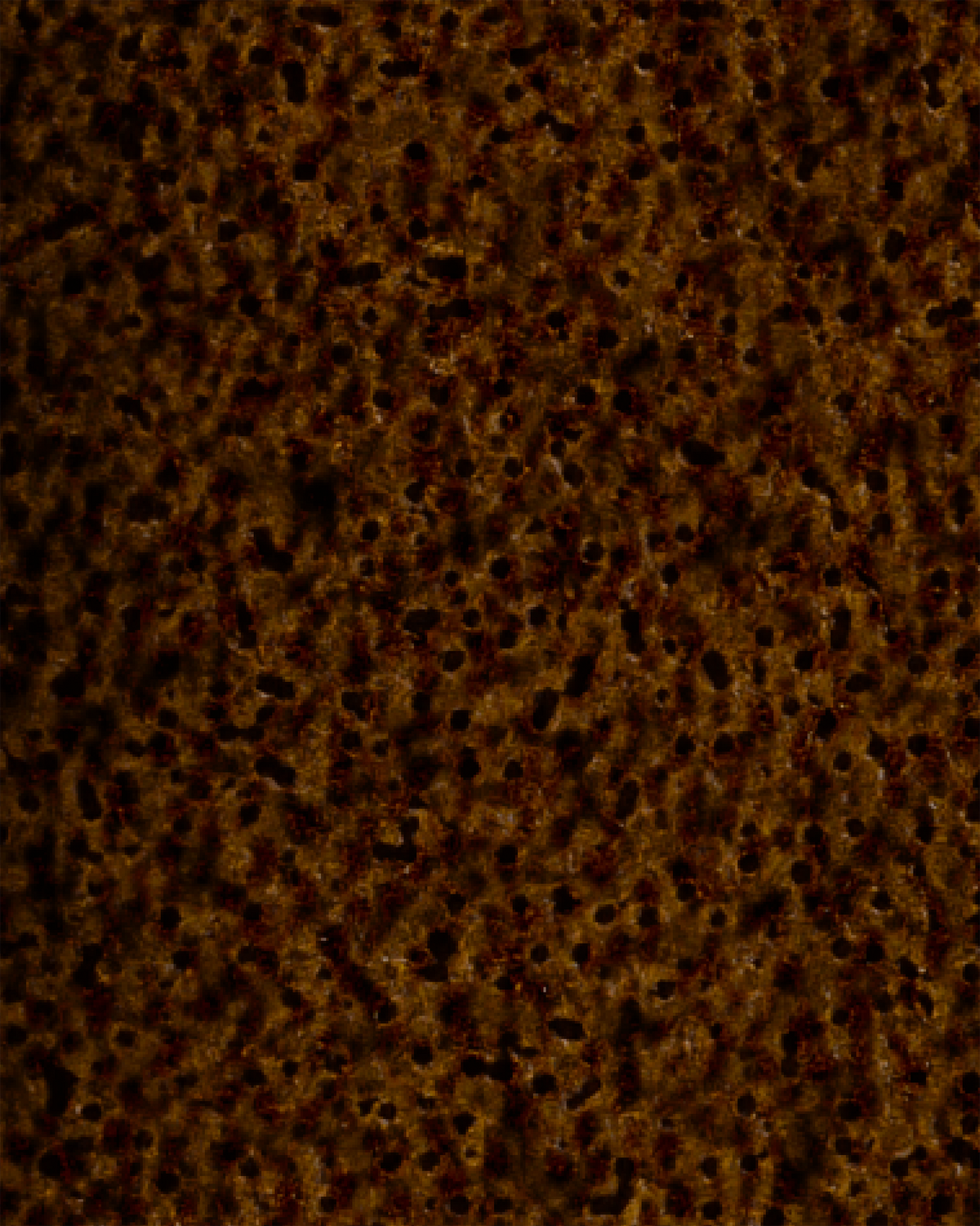 The Bestsellers Set