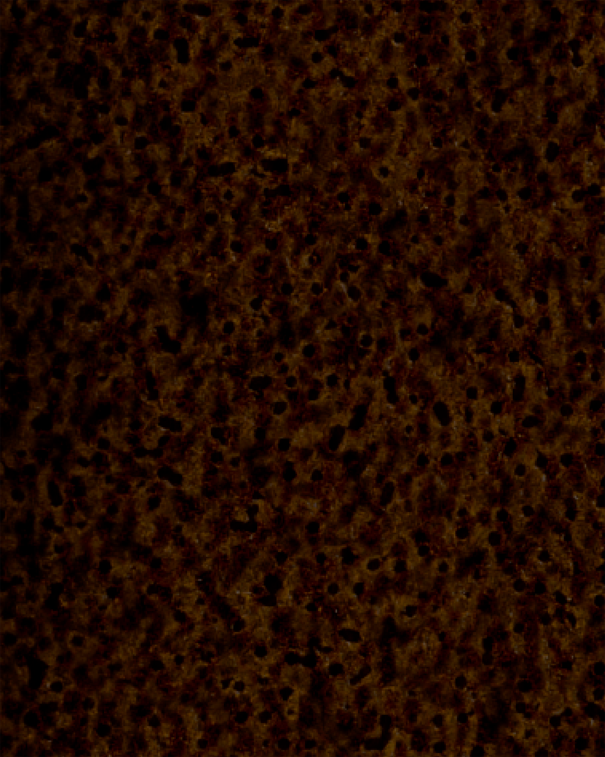 The Bestsellers Set